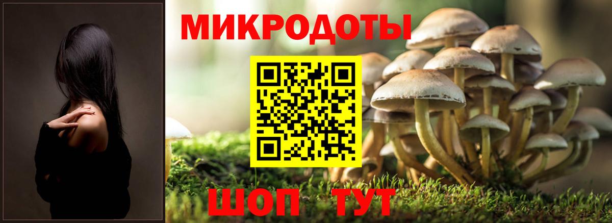 Галлюциногенные грибы GOLDEN TEACHER  Псилоцибиновые грибы прущие грибы  купить наркоту  Вход с VPN  Ишимбай 